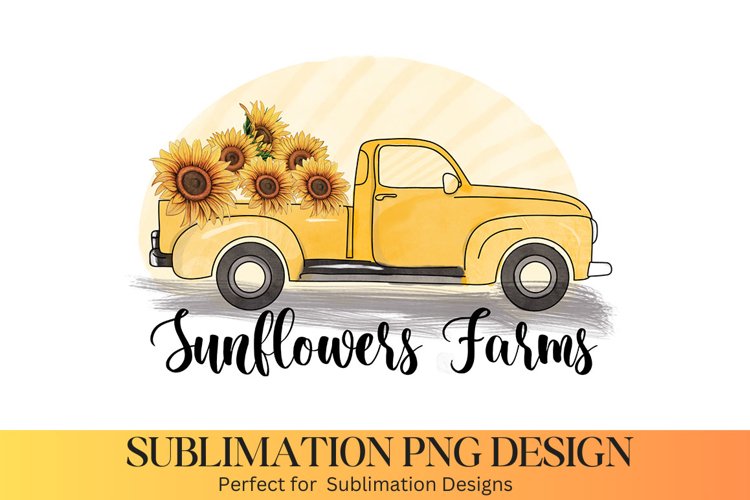 Sunflower PNG Image 14