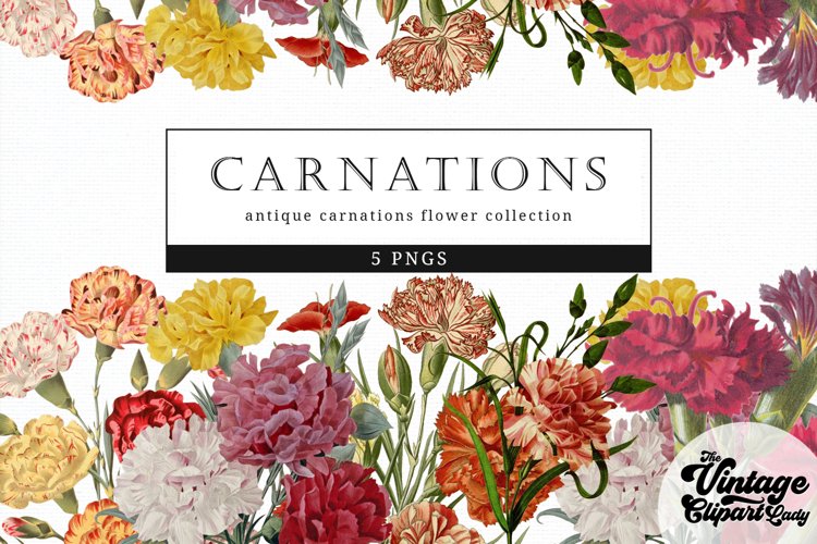 Floral Clipart Image 6