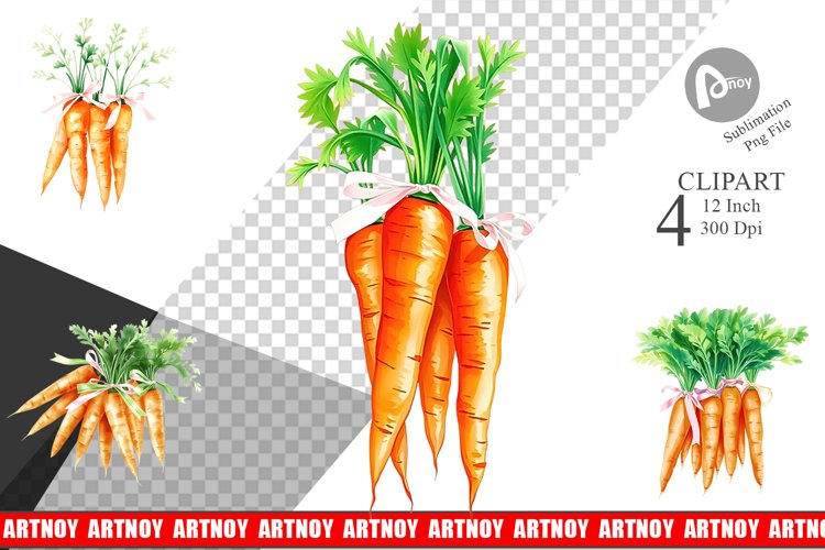 Carrot Png Image 7