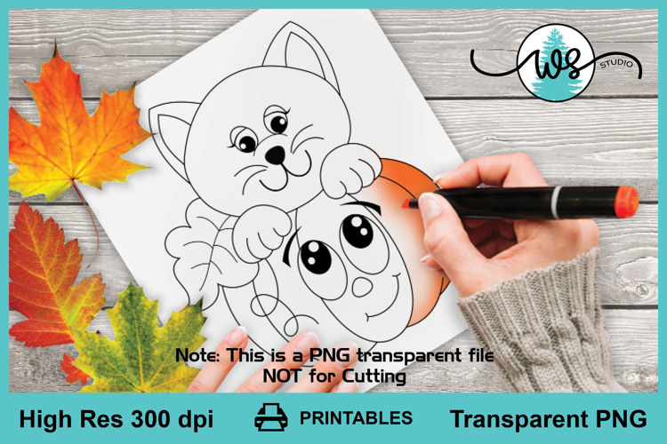 Cartoon Pumpkin & Kitty, Pumpkin, Cat, Halloween, Autumn Cat