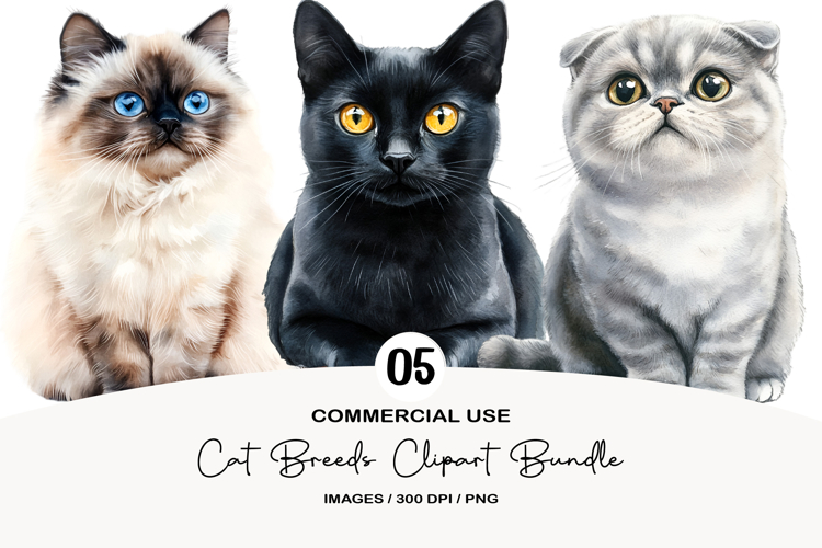 Watercolor Clipart Image 9