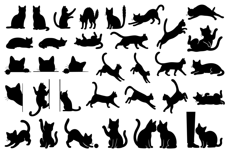 Cat Svg Bundle Image 11