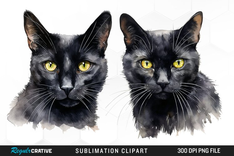 Black Cat Png Image 13