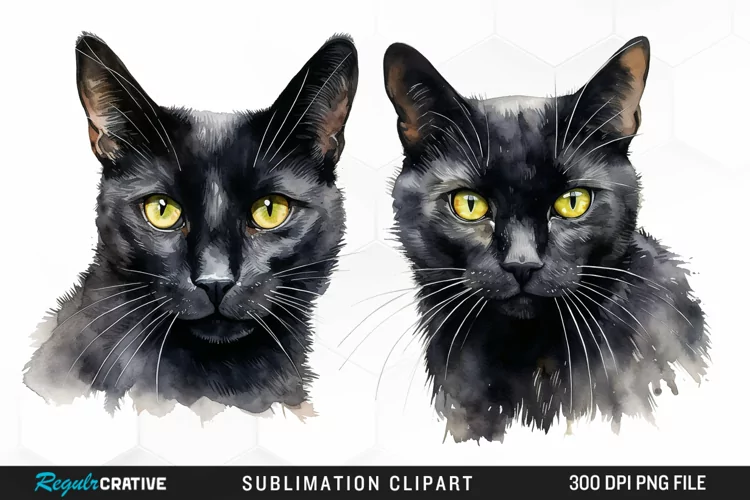 Watercolor Black Cats Sublimation PNG Clipart