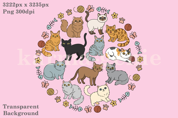 Cute Cats Colourful Kittens Png Illustration