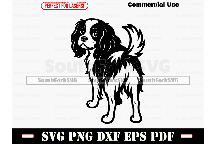 King Png Image 10
