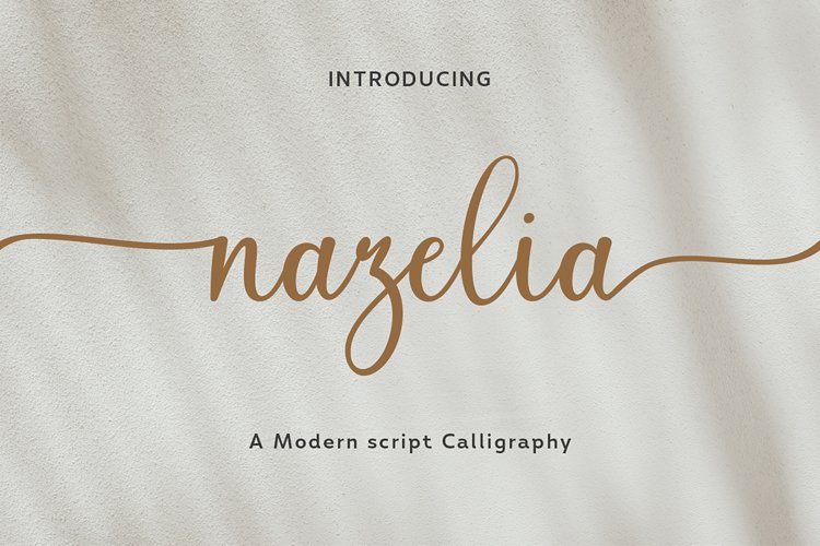 Nazelia Modern Script! WebFont example image 1