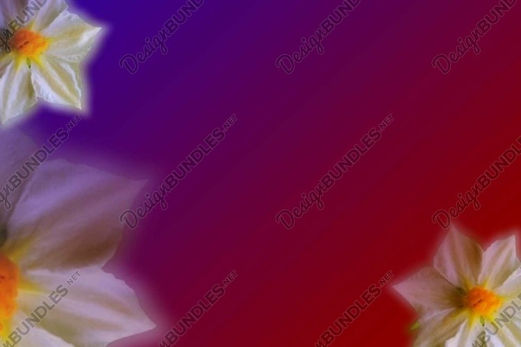 Wedding Vector Image 2