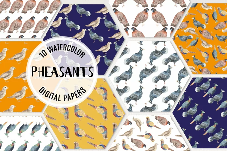Watercolor Patterns Seamless Bird Pheasants