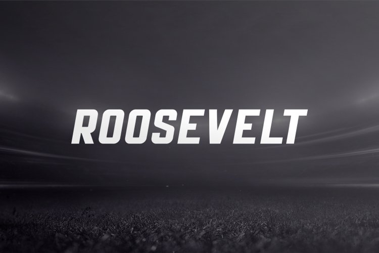 Roosevelt example image 1