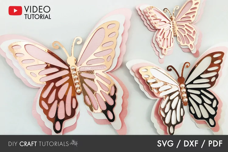 Butterfly SVG, 3D Butterfly SVG