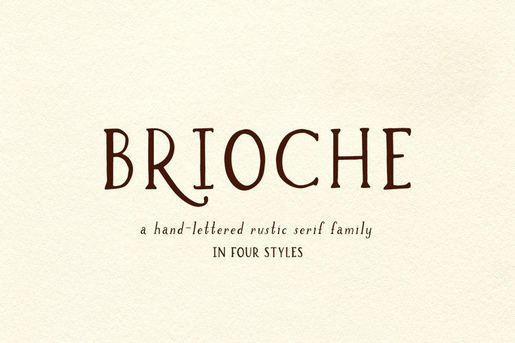 Brioche Rustic Serif Font Family example image 1