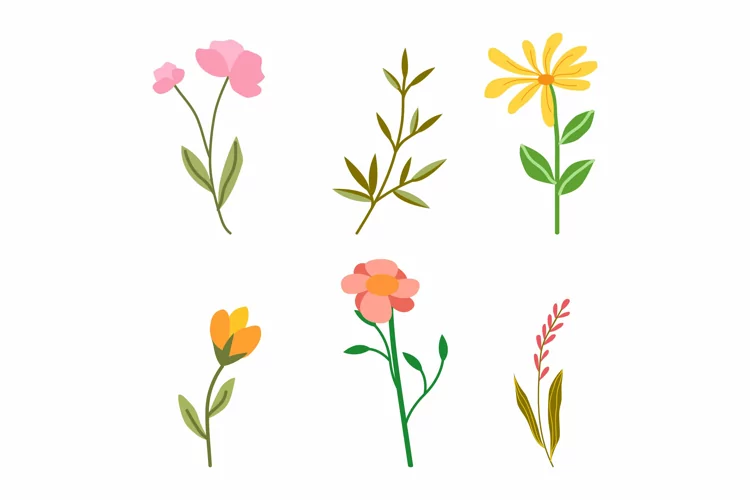 Flower Collection