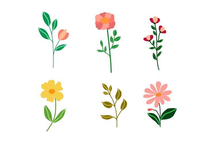 Flower Collection example image 1