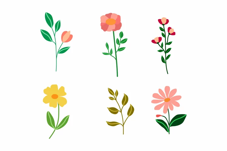 Flower Collection