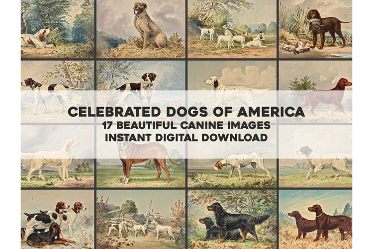 Celebrated Dogs of America Restored Images Bundle