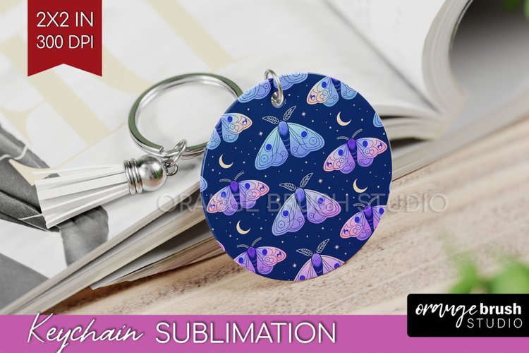 Moth Clipart Image 12