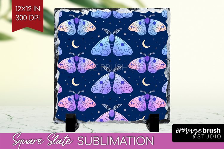 Moth Clipart Image 24