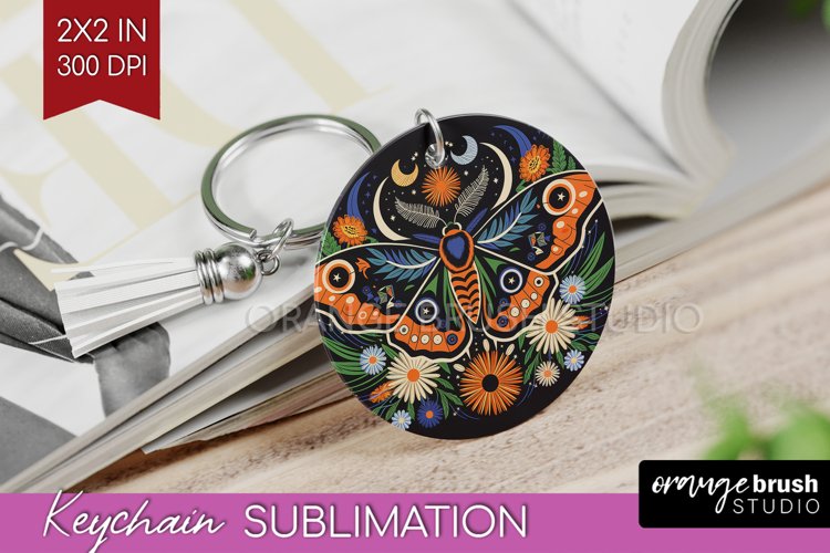 Moth Clipart Image 11