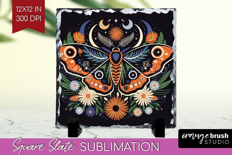 Moth Clipart Image 23