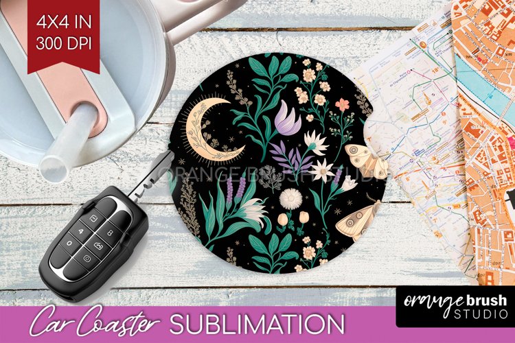 Moth Clipart Image 10