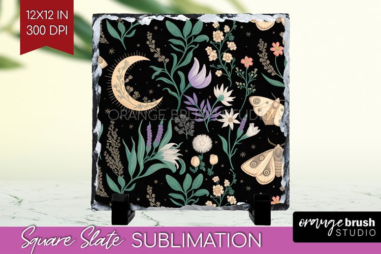 Moth Clipart Image 22