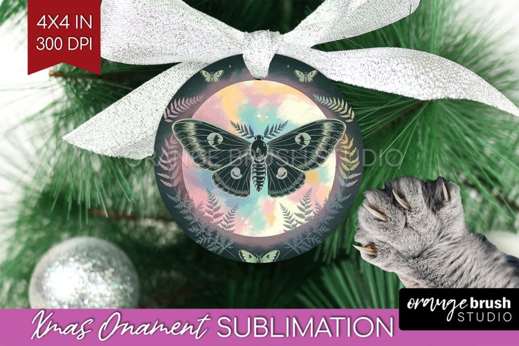 Moth Clipart Image 9