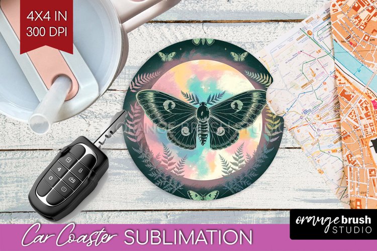 Moth Clipart Image 9