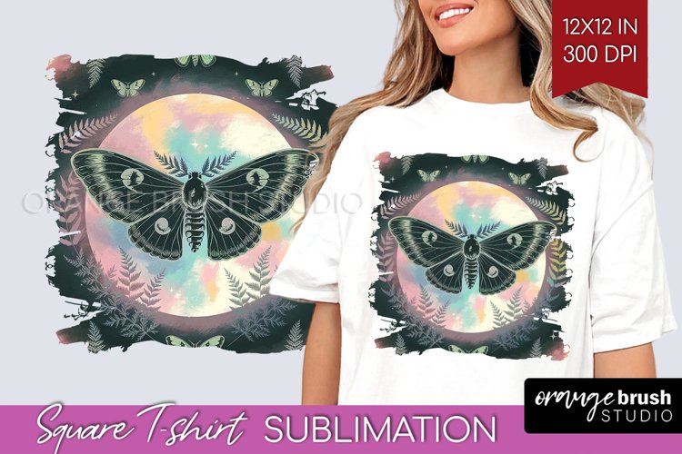 Moth Clipart Image 17