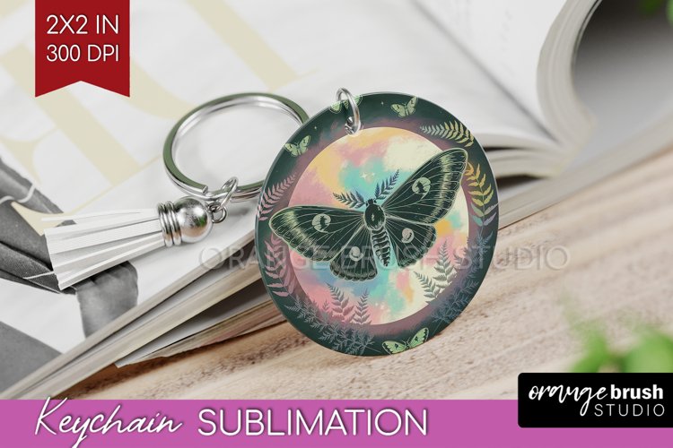 Moth Clipart Image 9