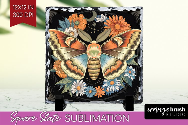 Moth Clipart Image 18