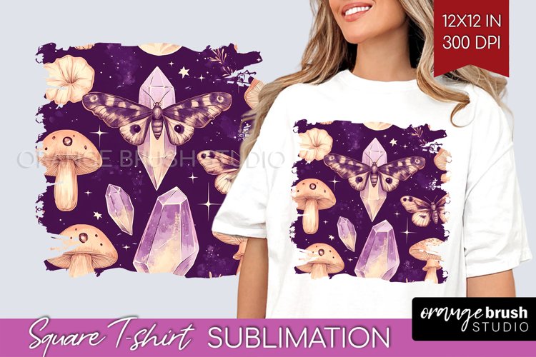 Moth Clipart Image 13