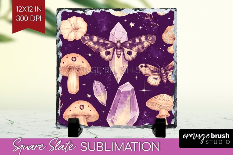Moth Clipart Image 17