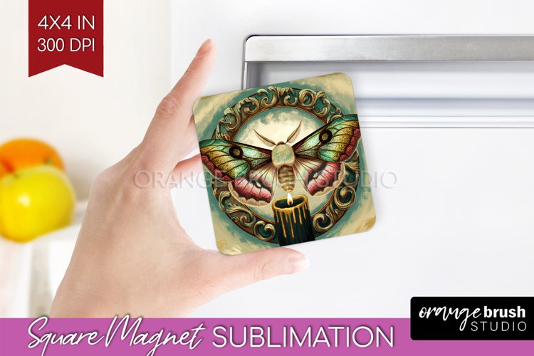 Moth Clipart Image 16
