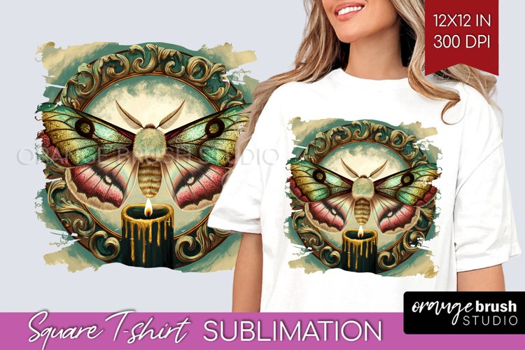 Moth Clipart Image 12