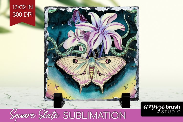 Moth Clipart Image 15