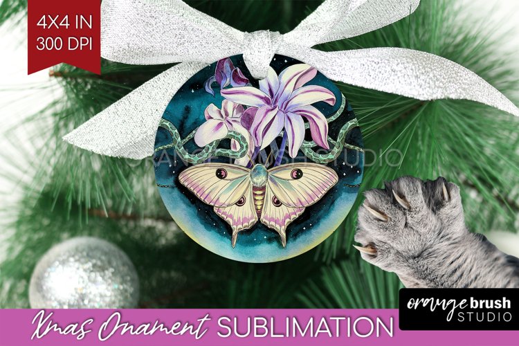 Moth Clipart Image 3