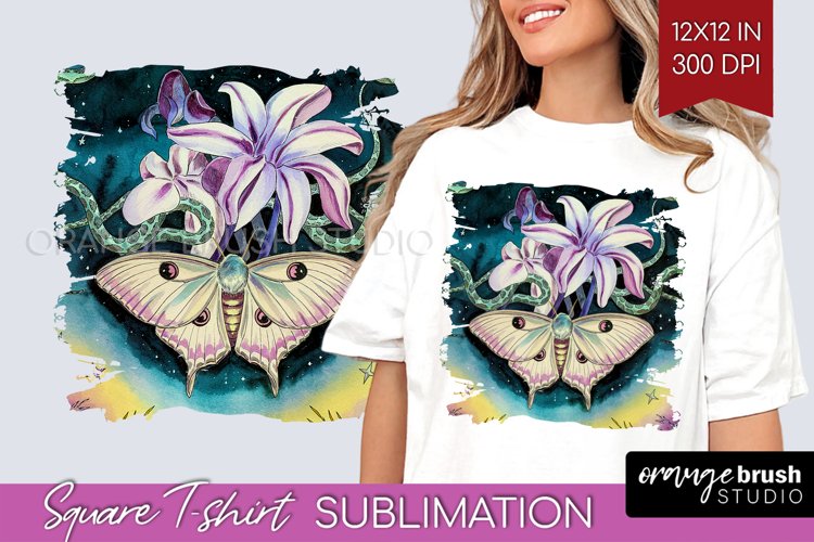 Moth Clipart Image 11