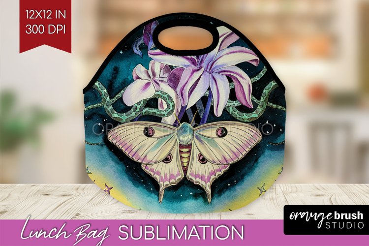 Moth Clipart Image 11