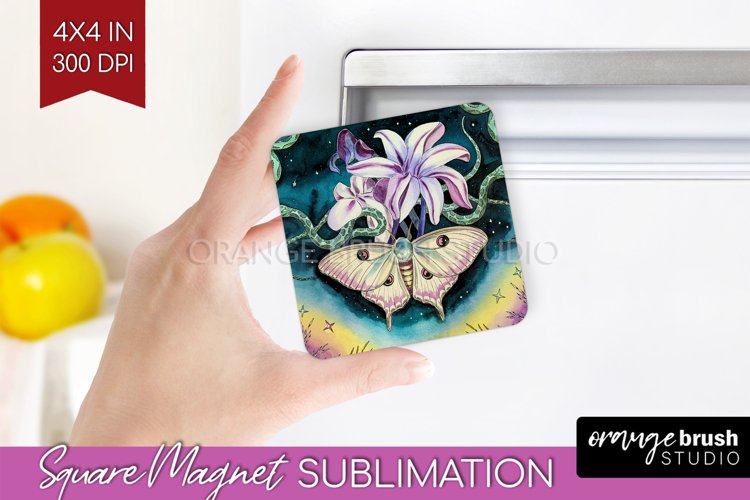 Moth Clipart Image 15
