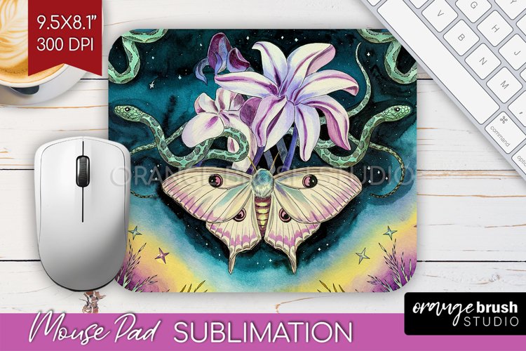 Moth Clipart Image 7
