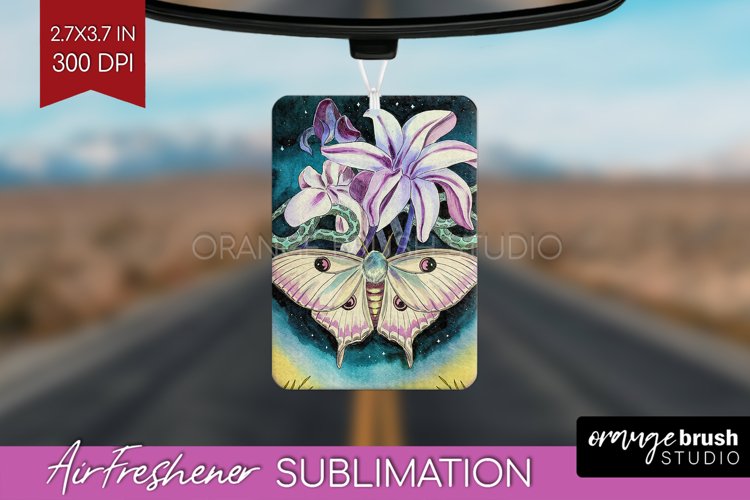Moth Clipart Image 11