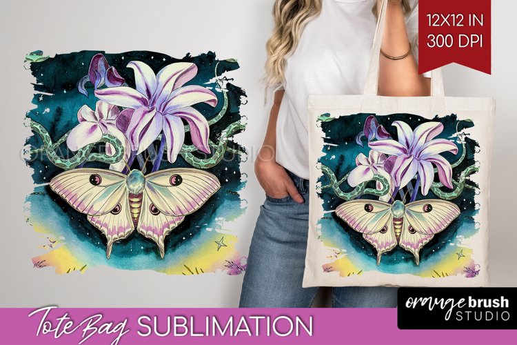 Moth Clipart Image 23