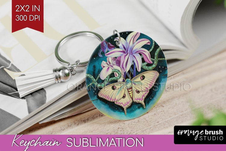 Moth Clipart Image 3
