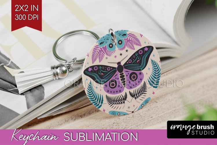 Moth Clipart Image 2
