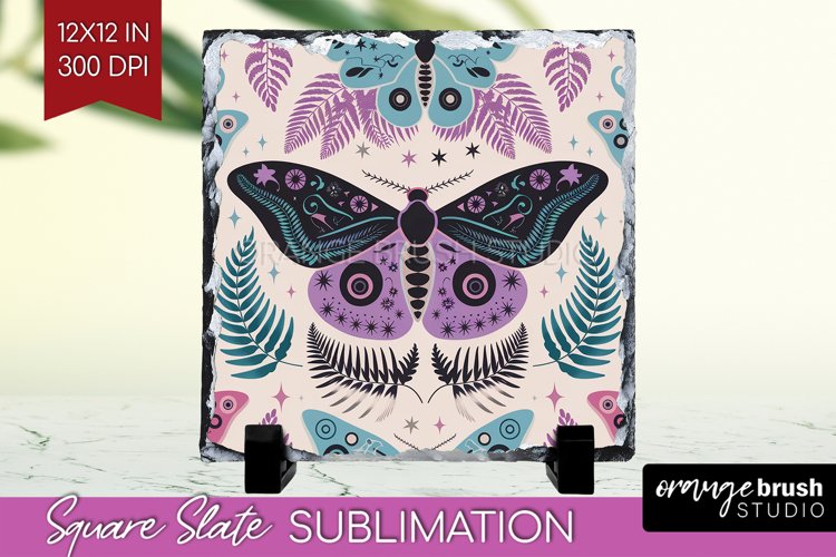 Moth Clipart Image 14