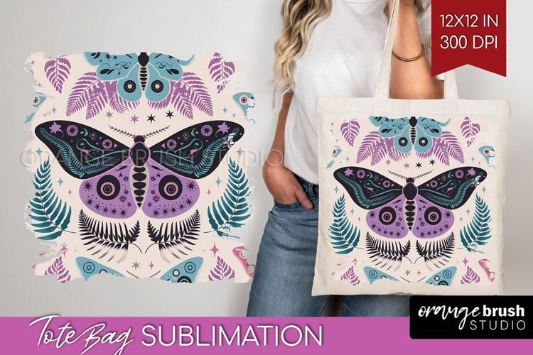Moth Clipart Image 22