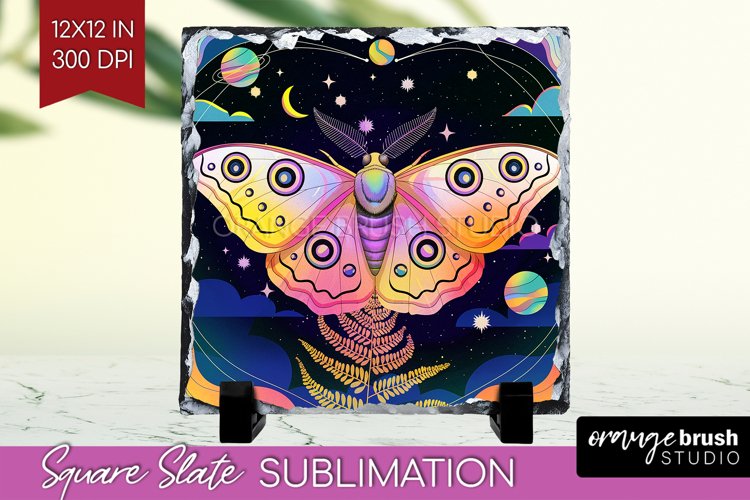 Moth Clipart Image 13