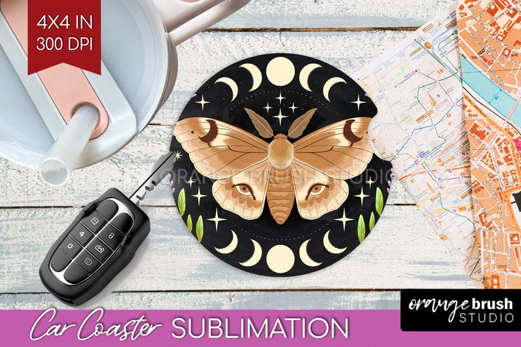 Moth Clipart Image 24