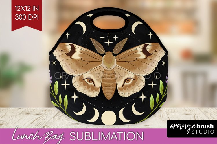 Moth Clipart Image 8